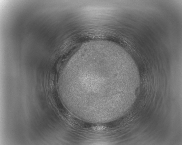 X0000056030695200509170037