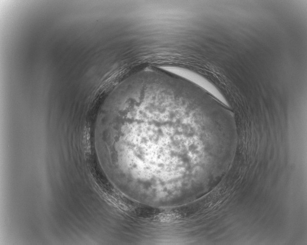 X0000056030696200509170037