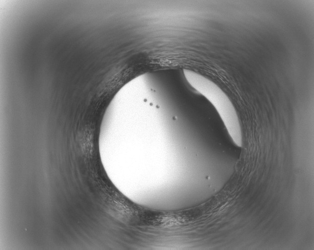 X0000056030697200509170037