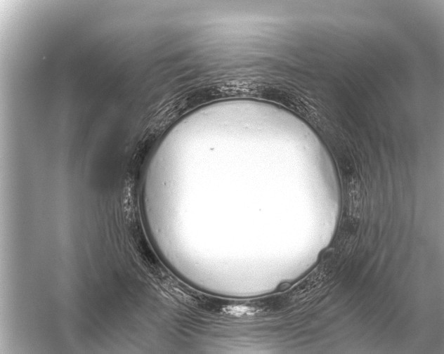 X0000056030699200509170037