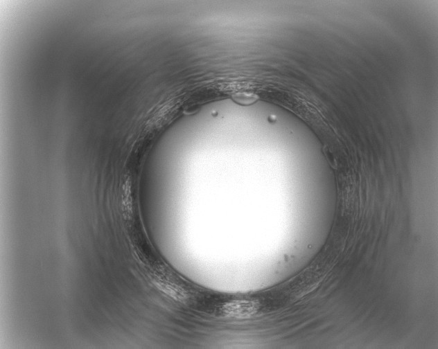 X0000056030700200509170037