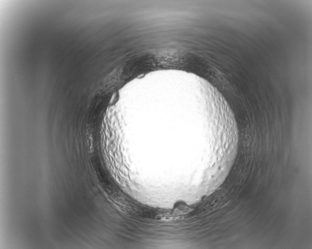 X0000056030703200509170037