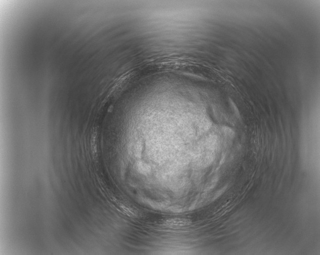 X0000056030708200509170036