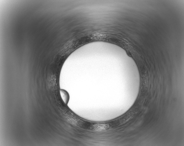 X0000056030711200509170036