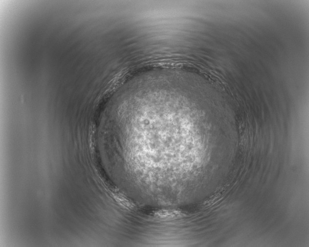 X0000056030712200509170036