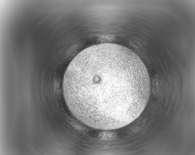 X0000056030714200509170036