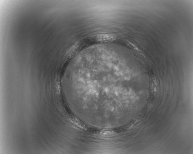 X0000056030716200509170036