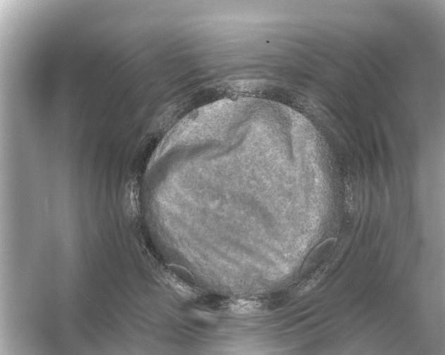 X0000056030718200509170036