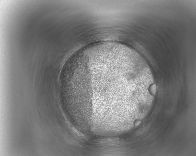 X0000056030721200509170035