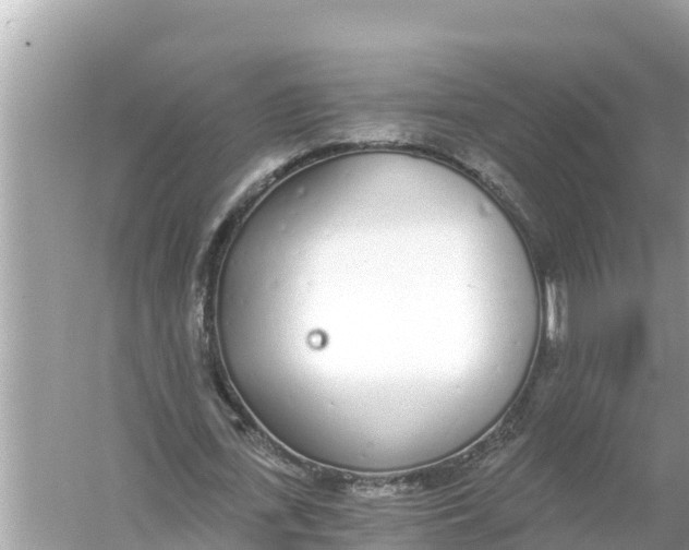 X0000056030723200509170035