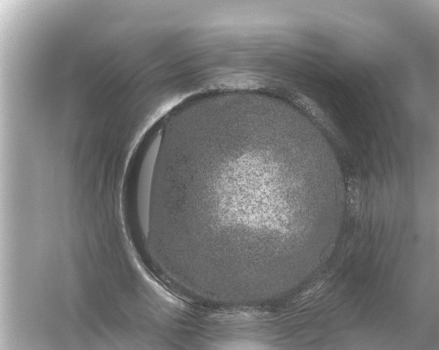 X0000056030726200509170036