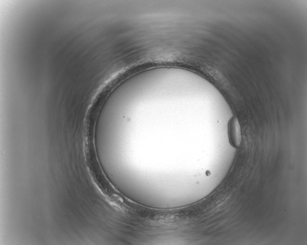 X0000056030728200509170036