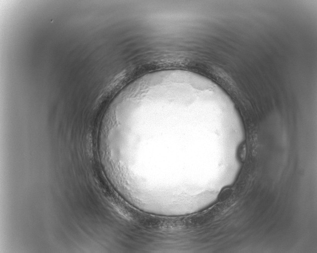 X0000056030729200509170036