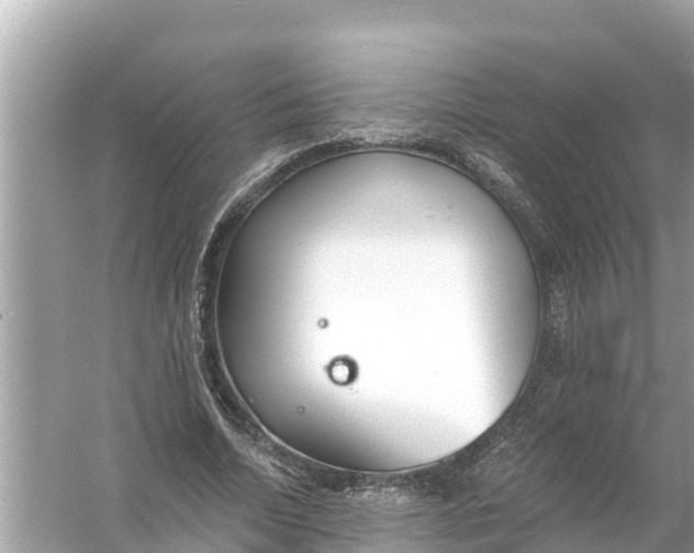 X0000056030730200509170036