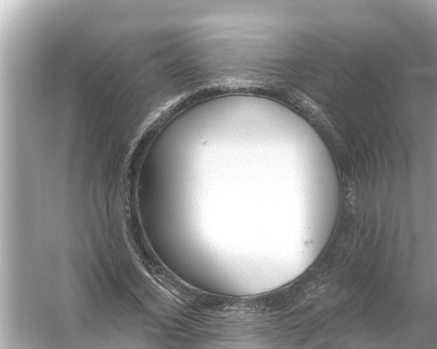 X0000056030732200509170036