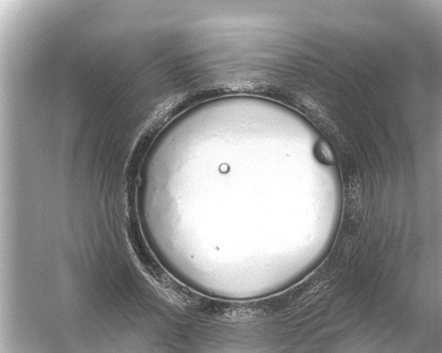 X0000056030734200509170036