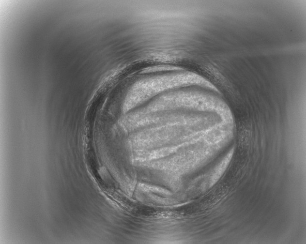 X0000056030736200509170036