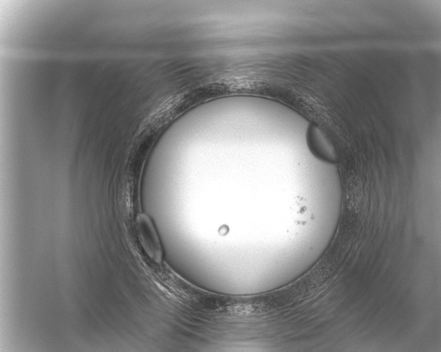 X0000056030740200509170036