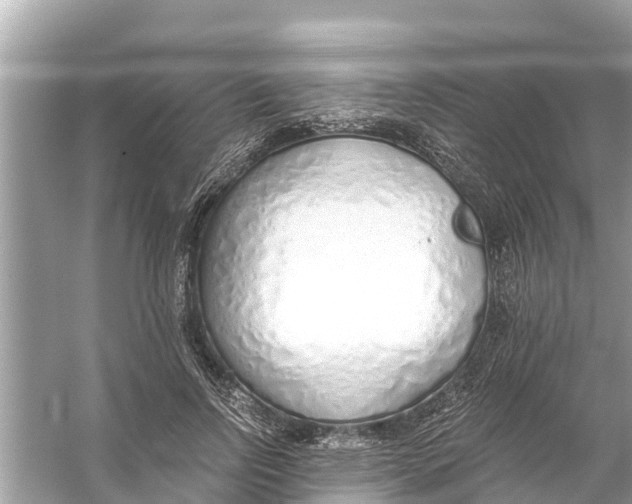 X0000056030742200509170036