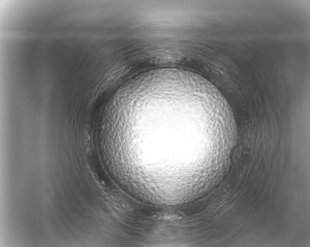 X0000056030743200509170036