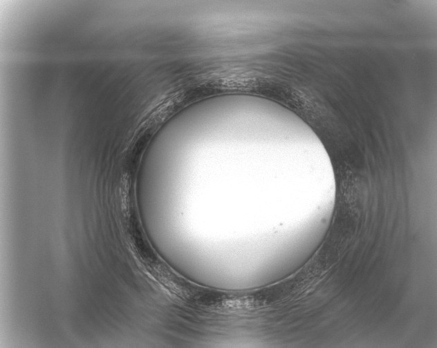 X0000056030744200509170036