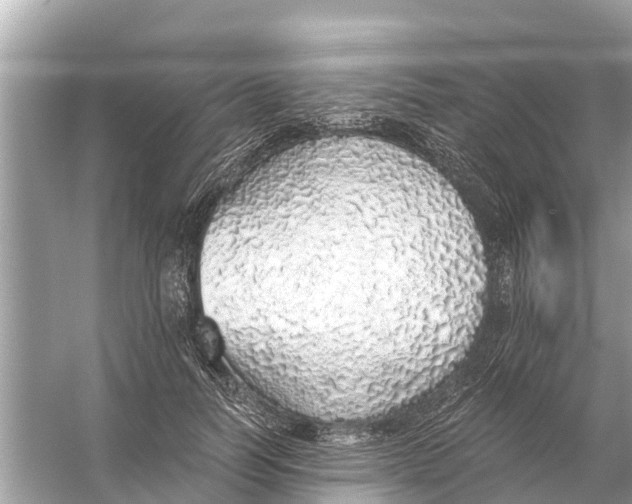 X0000056030746200509170036