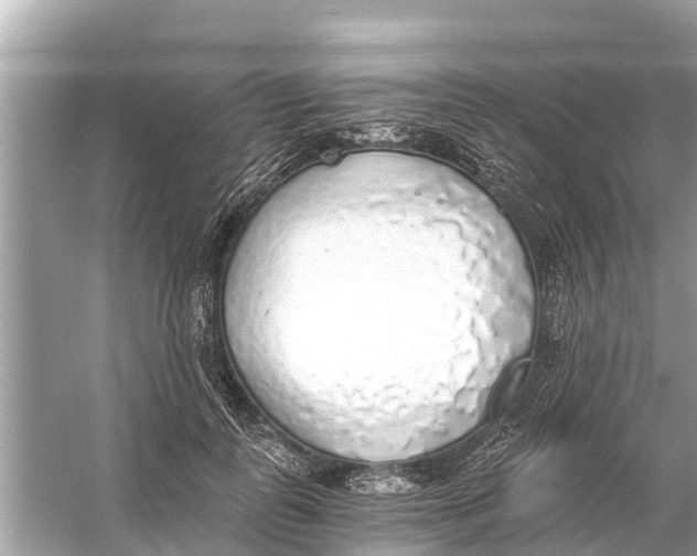 X0000056030747200509170036