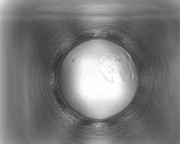 X0000056030748200509170036