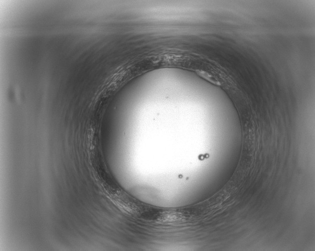 X0000056030750200509170036