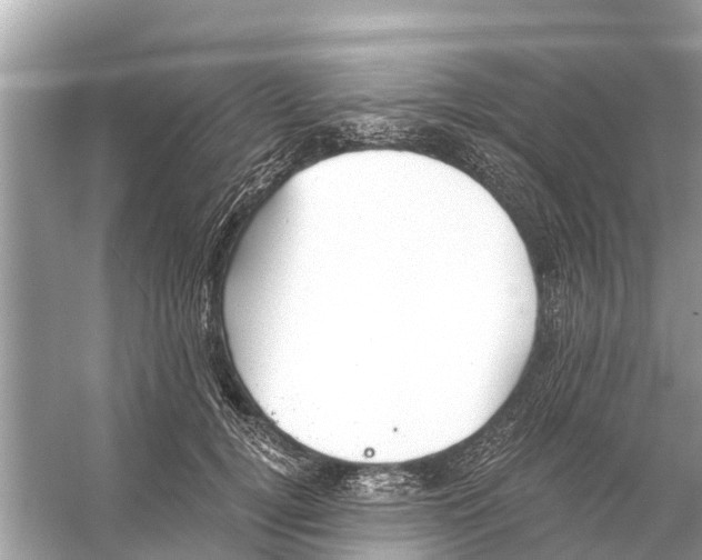 X0000056030752200509170036