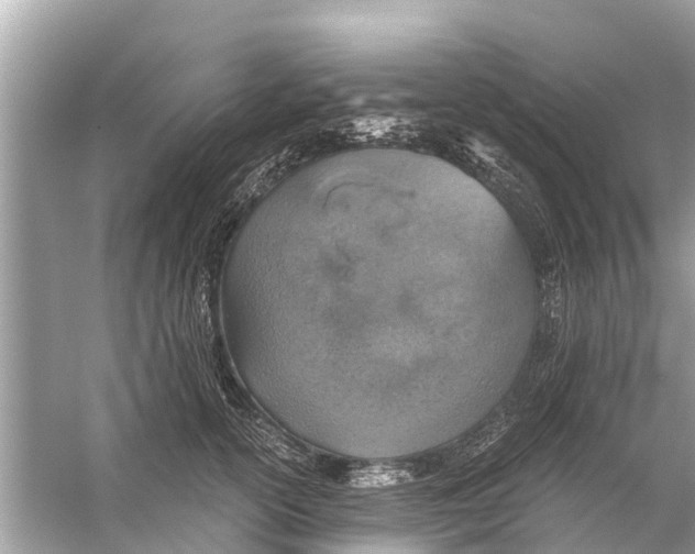 X0000056030754200509170036