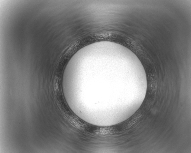 X0000056030758200509170036