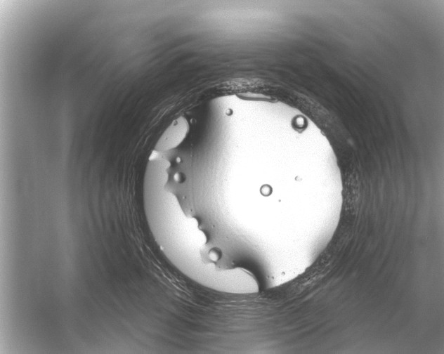 X0000056030762200509170036