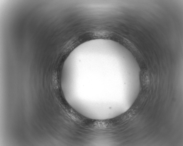 X0000056030764200509170036