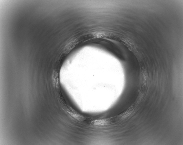 X0000056030766200509170036