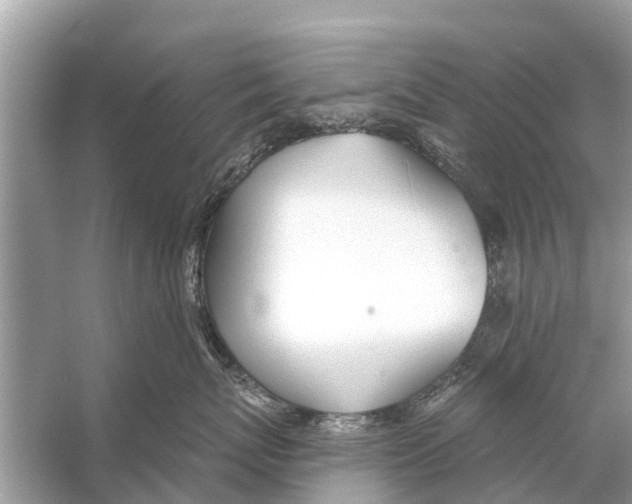 X0000056030767200509170036