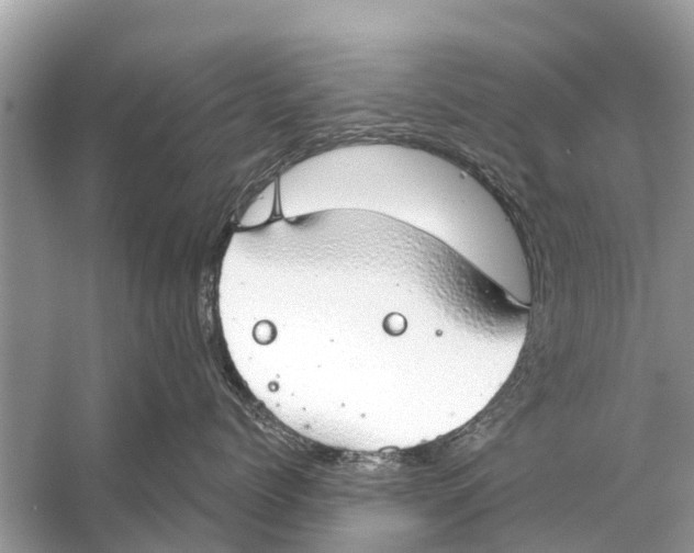 X0000056030768200509170036