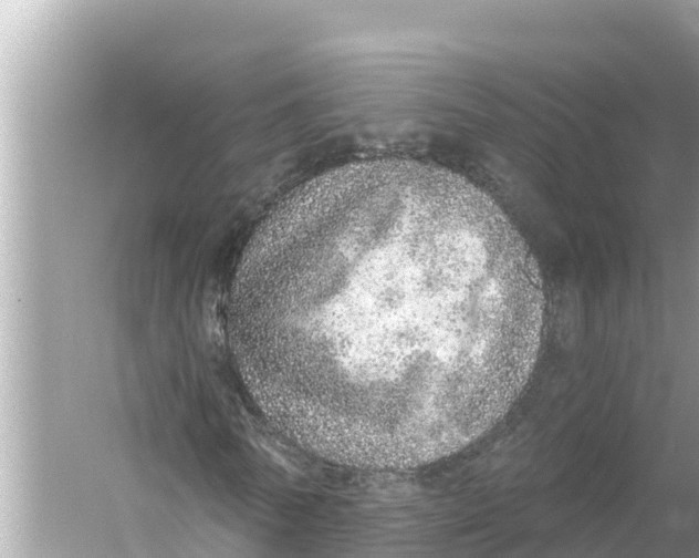 X0000056030770200509170035