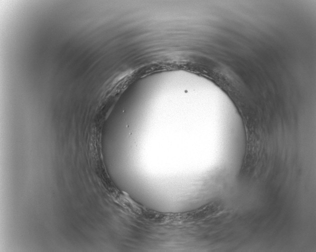 X0000056030773200509170035