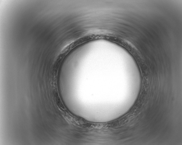 X0000056030775200509170035