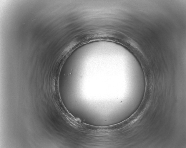 X0000056030777200509170035