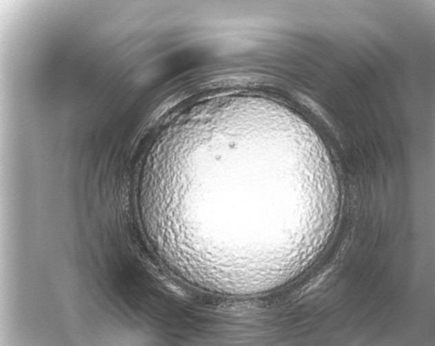 X0000056030778200509170035