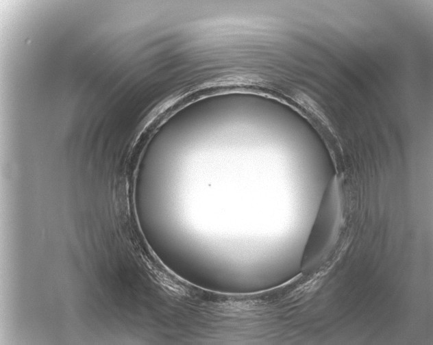 X0000056030781200509170035