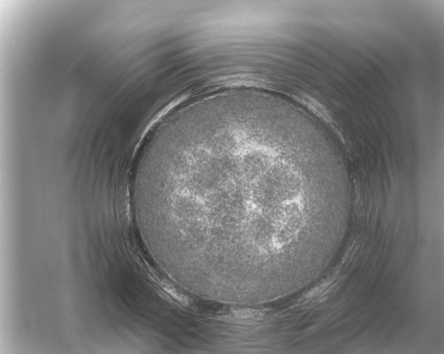 X0000056030782200509170035