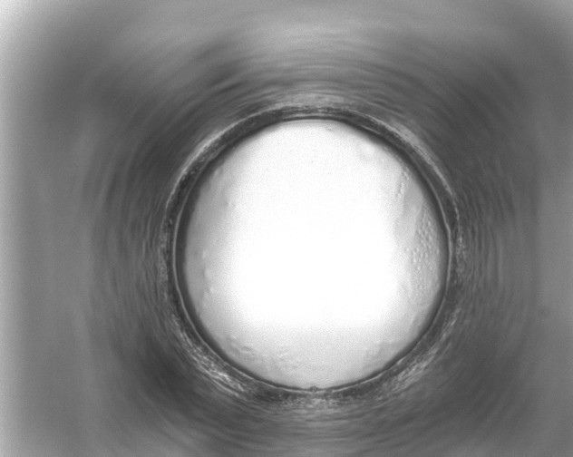 X0000056030783200509170035