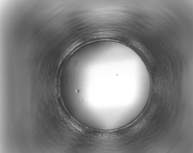 X0000056030786200509170035