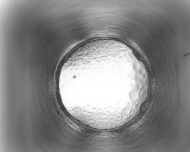 X0000056030787200509170035