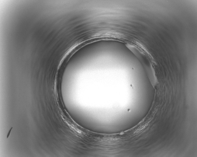 X0000056030788200509170035