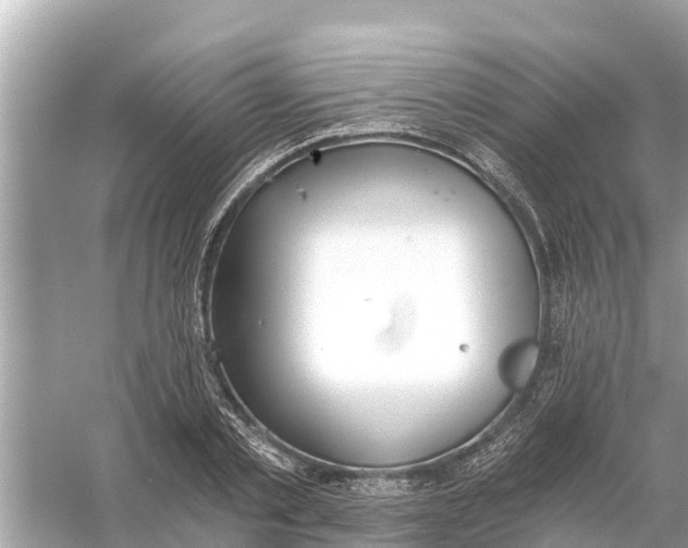 X0000056030789200509170035