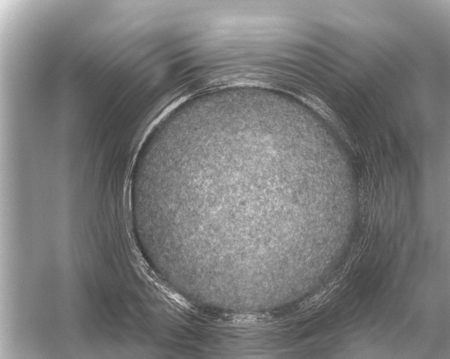 X0000056030790200509170035